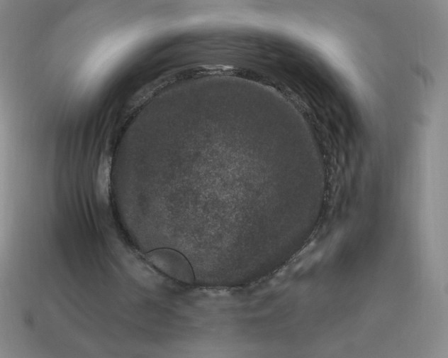 X0000113950194200910091616