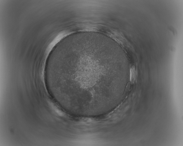 X0000113950195200910091616