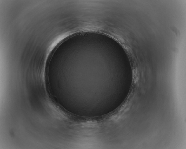 X0000113950196200910091615
