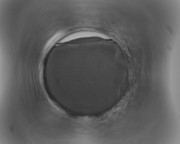 X0000113950197200910091615