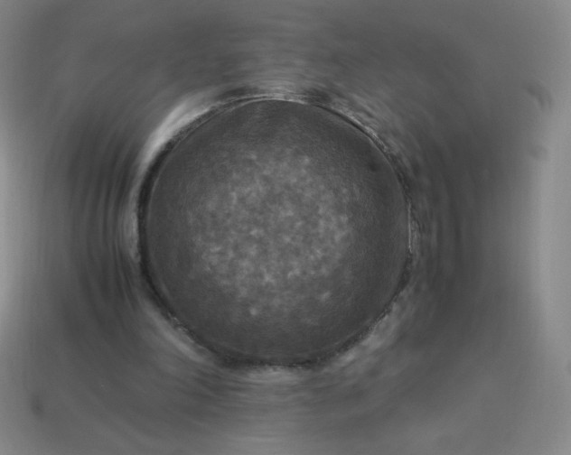 X0000113950198200910091615