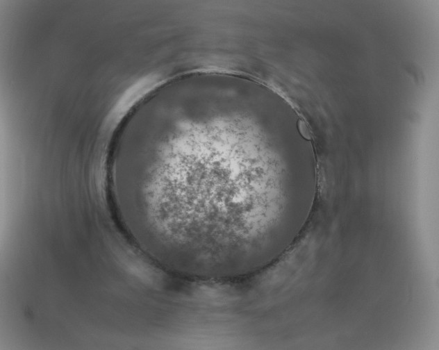 X0000113950199200910091615
