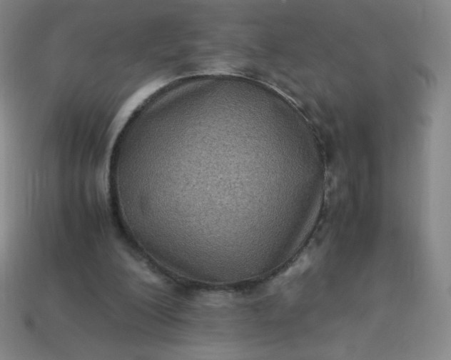 X0000113950200200910091615