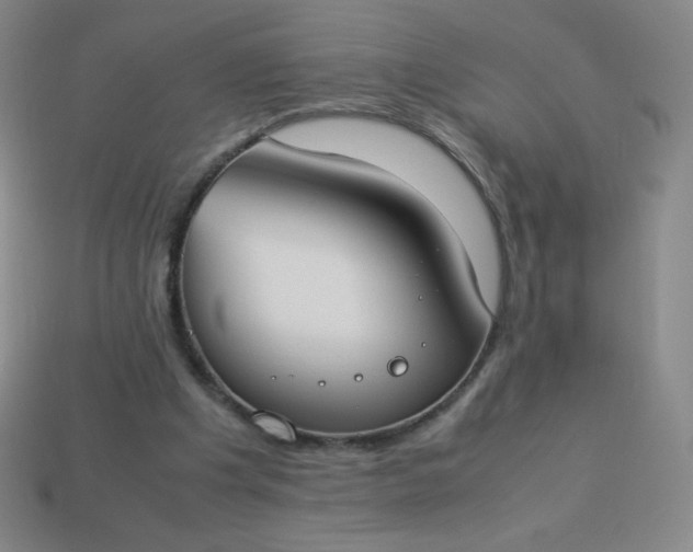 X0000113950201200910091615