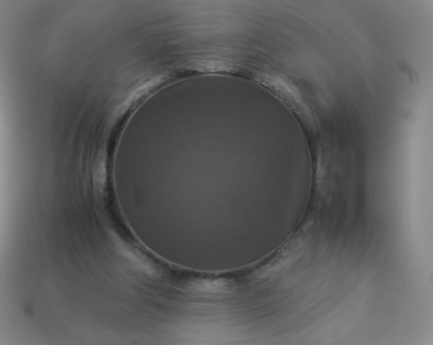 X0000113950202200910091615