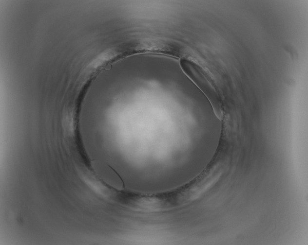 X0000113950203200910091615