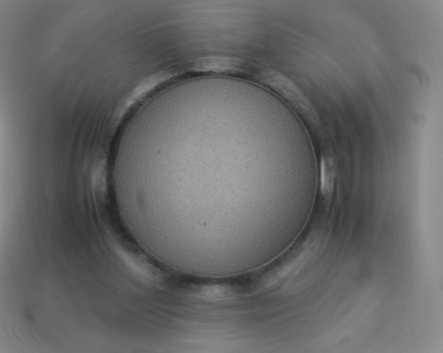 X0000113950204200910091615
