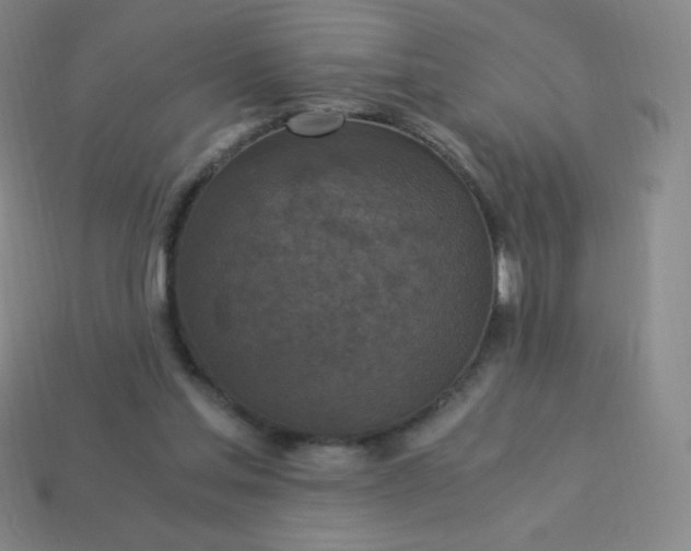 X0000113950205200910091615