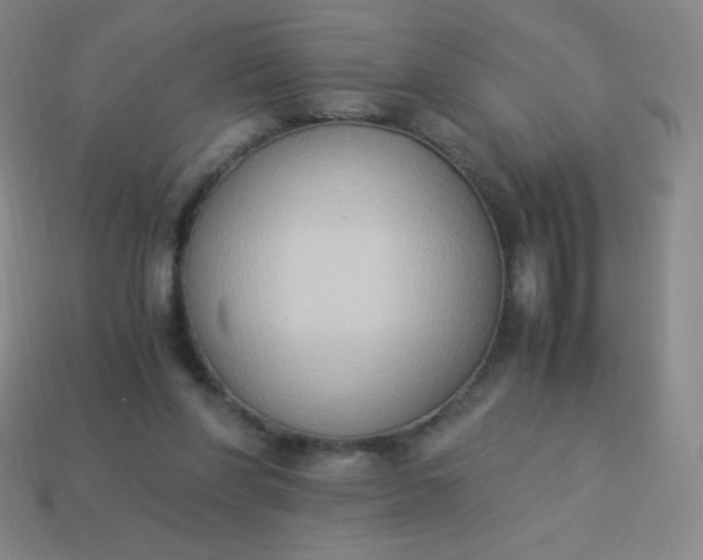 X0000113950206200910091615