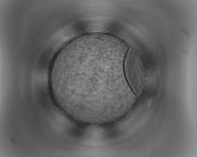 X0000113950207200910091615