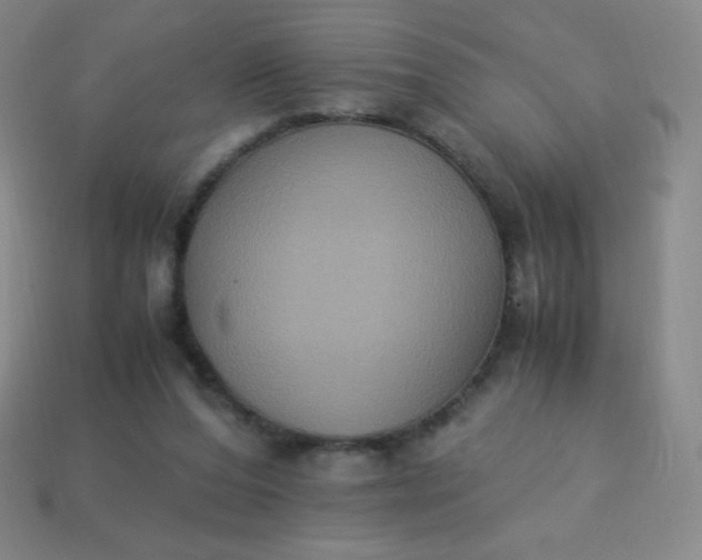 X0000113950208200910091615