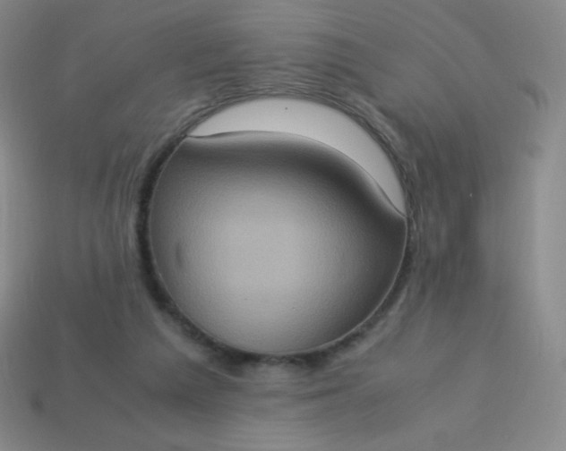 X0000113950209200910091615