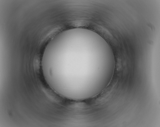 X0000113950210200910091615