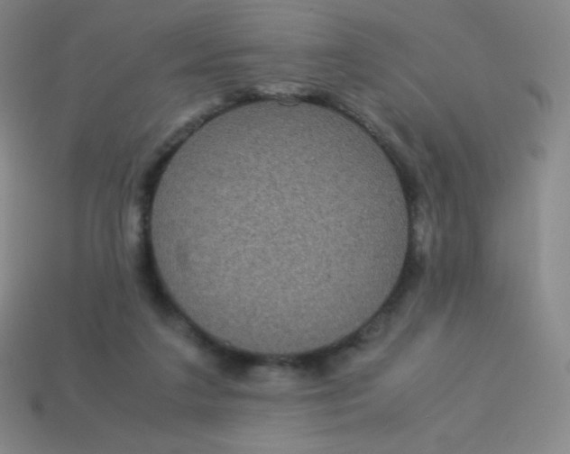 X0000113950211200910091615