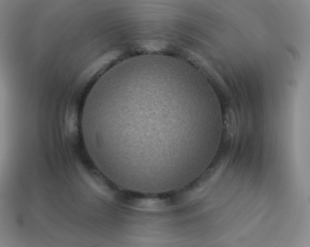 X0000113950212200910091615