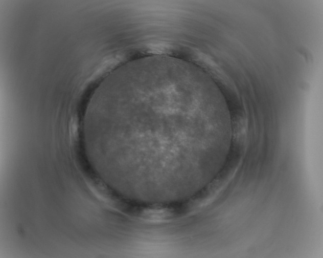 X0000113950213200910091615