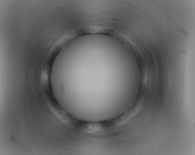 X0000113950214200910091615