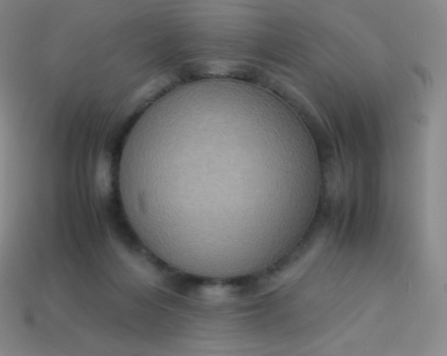 X0000113950216200910091615