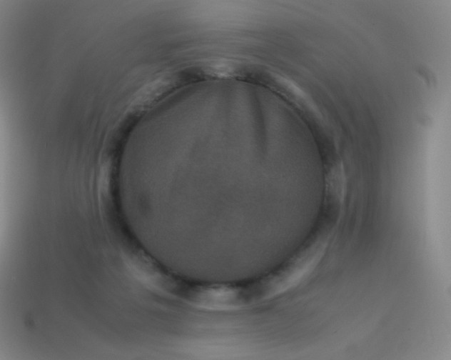 X0000113950217200910091615