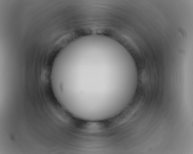 X0000113950218200910091615