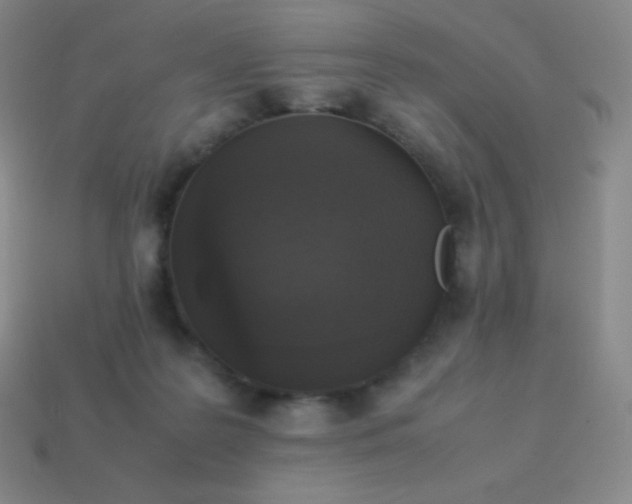 X0000113950219200910091615