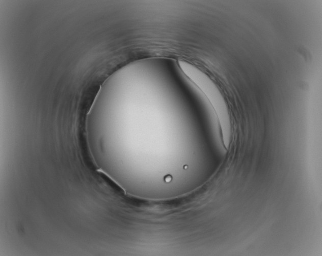 X0000113950221200910091615
