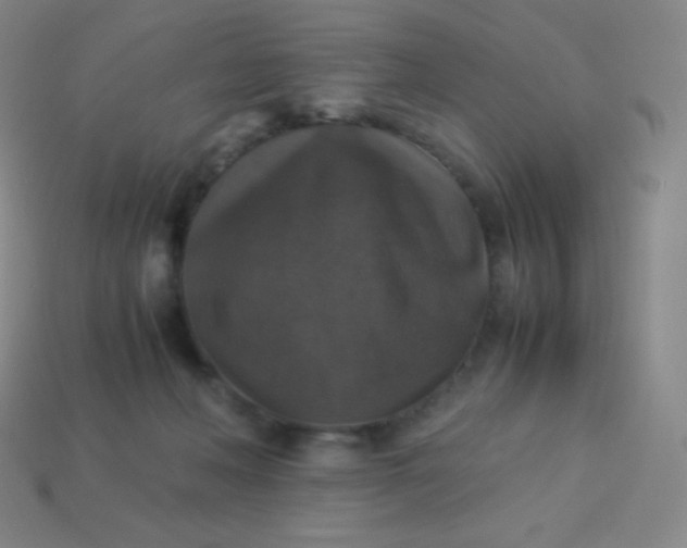 X0000113950222200910091615