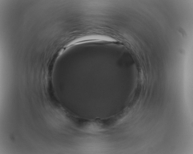X0000113950223200910091615