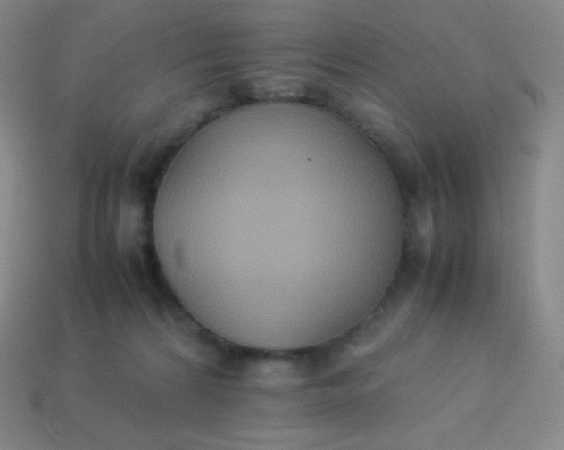 X0000113950224200910091615