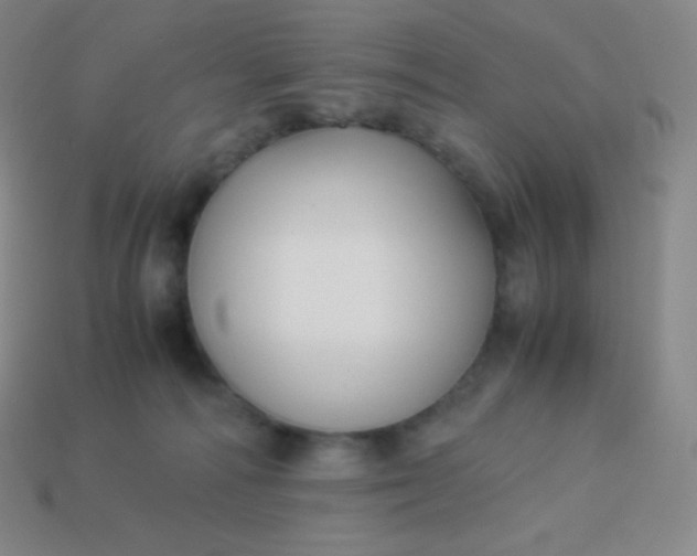 X0000113950226200910091615