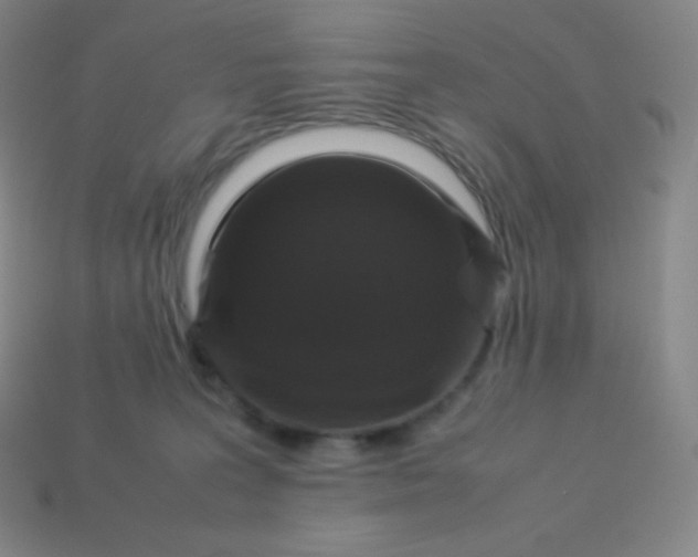 X0000113950227200910091615