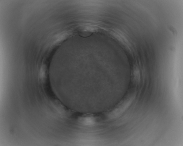 X0000113950228200910091615