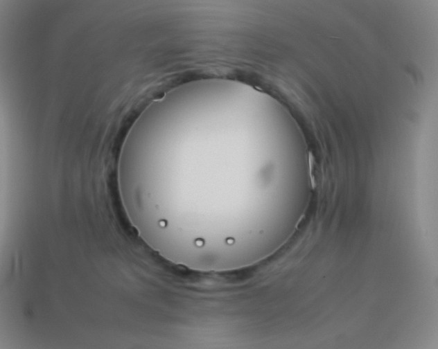 X0000113950229200910091615