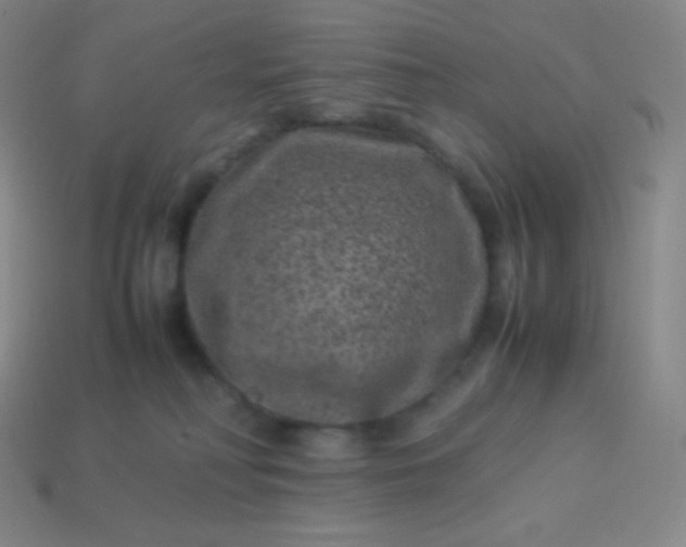 X0000113950230200910091615