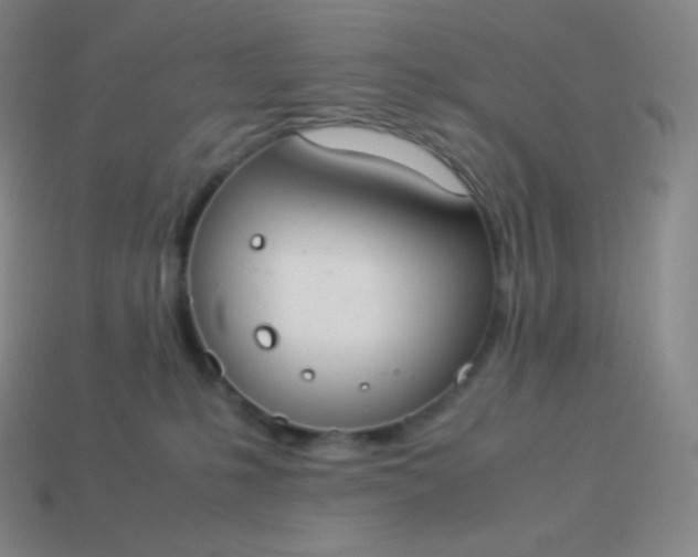 X0000113950231200910091615