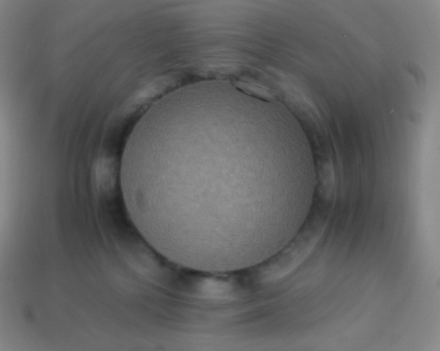 X0000113950232200910091615