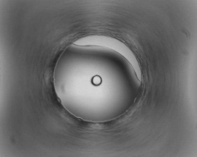 X0000113950233200910091615