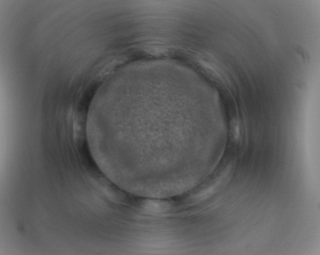 X0000113950234200910091615