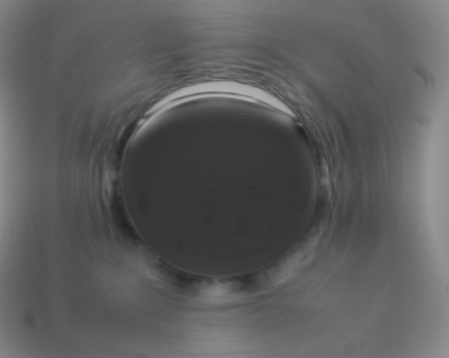 X0000113950235200910091615