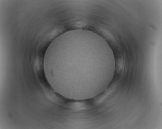 X0000113950236200910091615