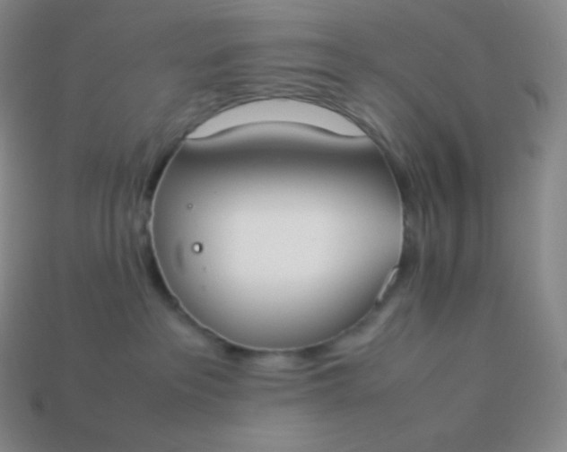 X0000113950237200910091615