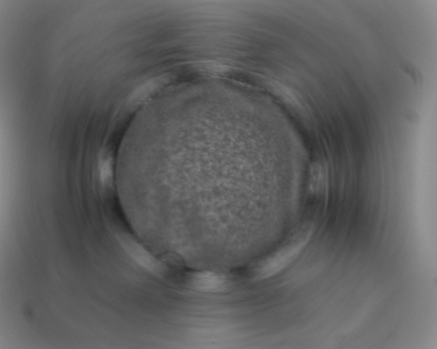 X0000113950238200910091615