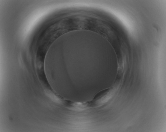X0000113950239200910091615