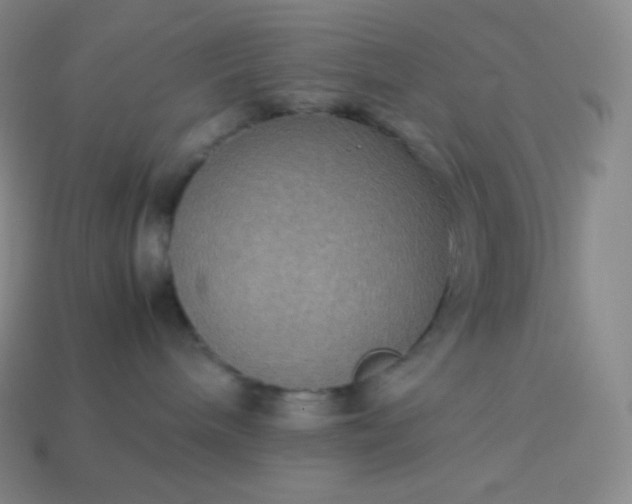 X0000113950240200910091615