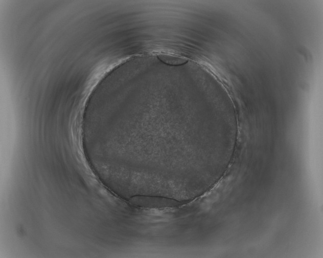 X0000113950241200910091614