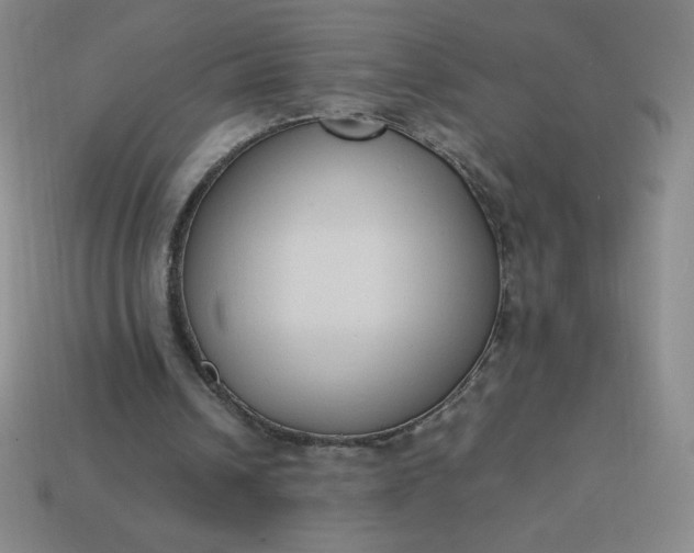 X0000113950242200910091614
