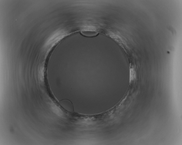 X0000113950243200910091614