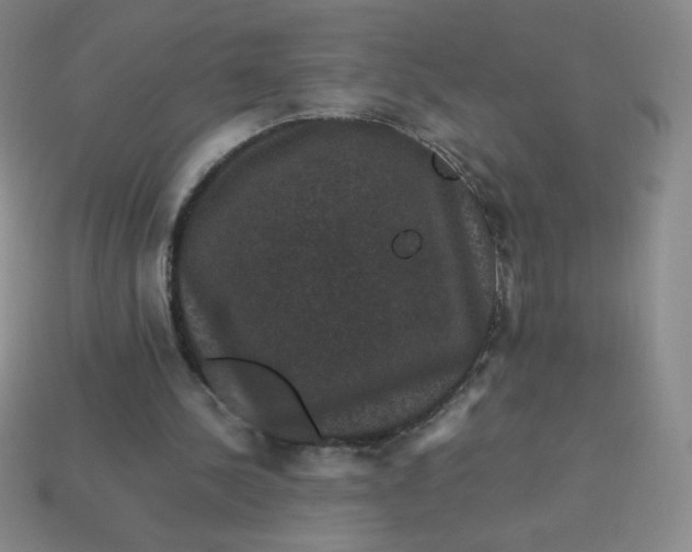 X0000113950244200910091614