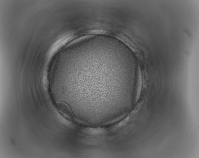 X0000113950245200910091614