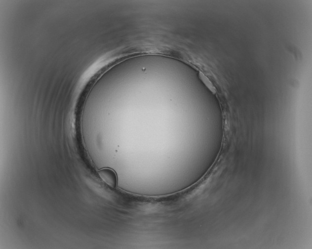 X0000113950246200910091614